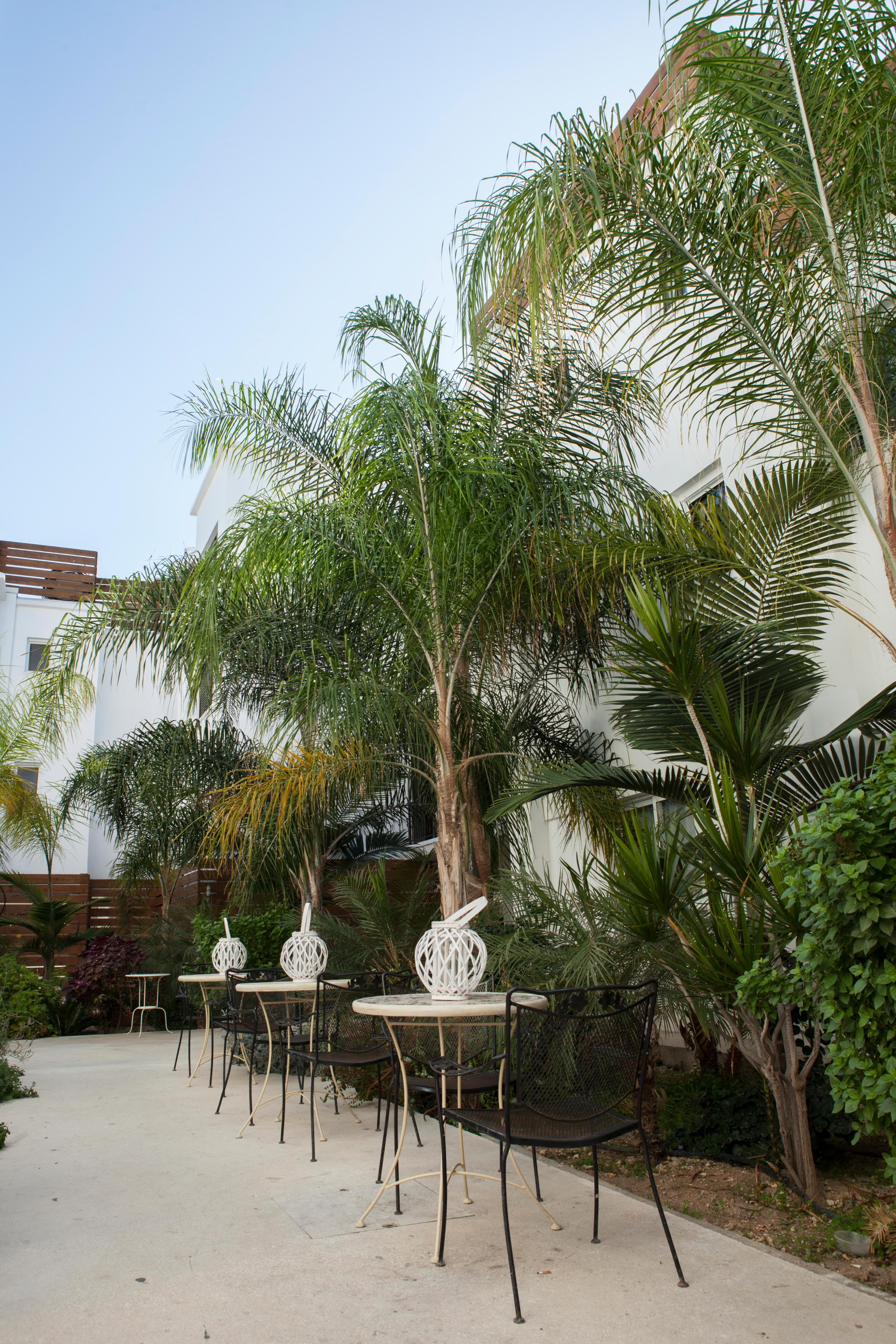 Alecos Hotel Apartments Paphos Exteriér fotografie