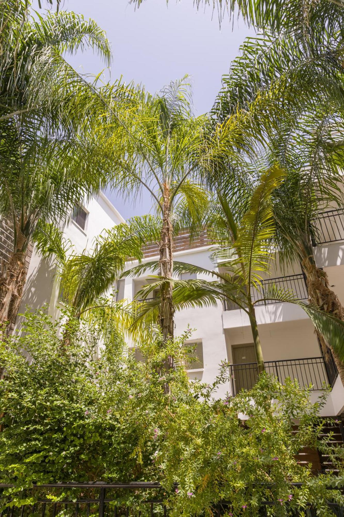 Alecos Hotel Apartments Paphos Exteriér fotografie