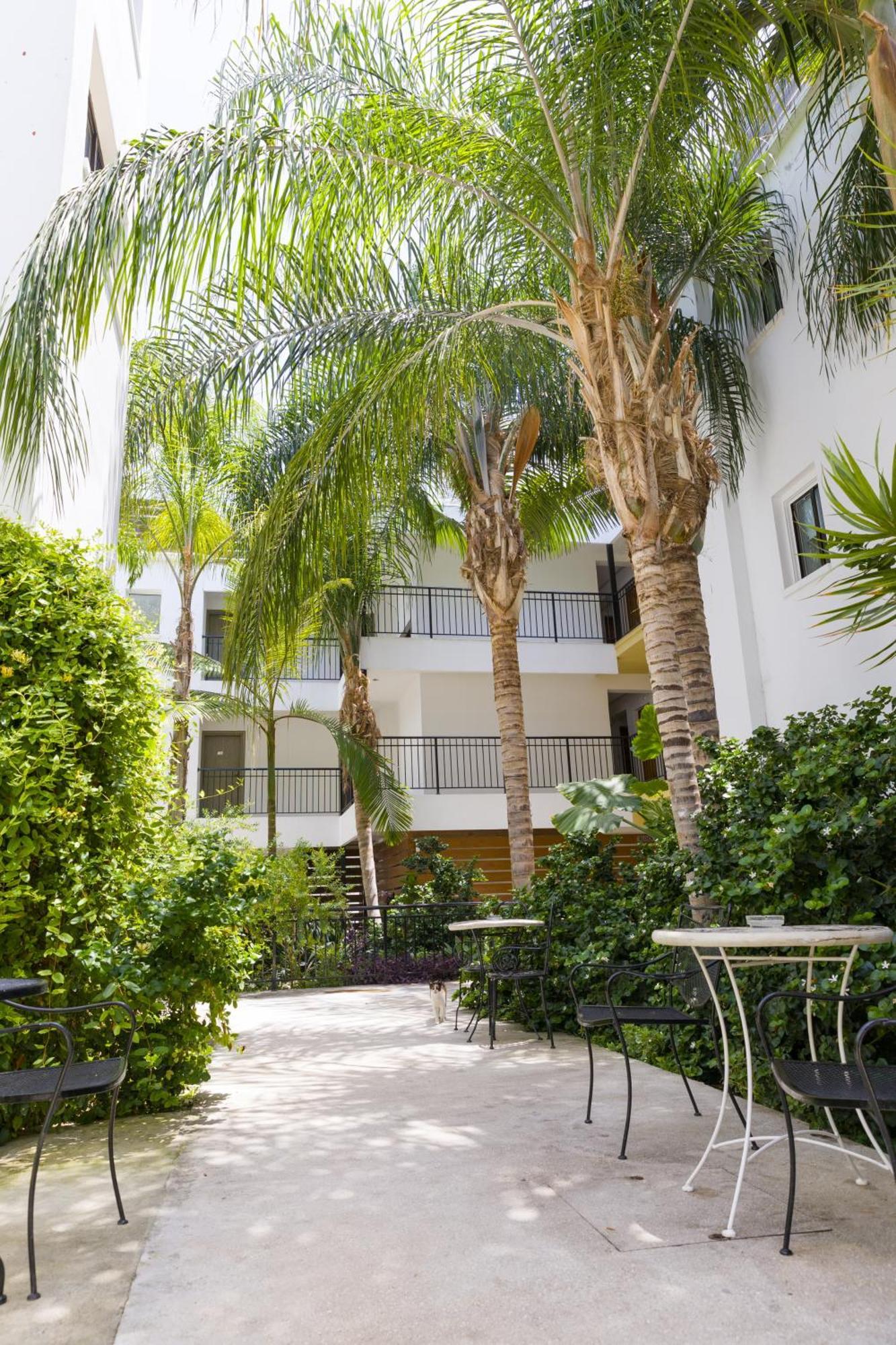 Alecos Hotel Apartments Paphos Exteriér fotografie