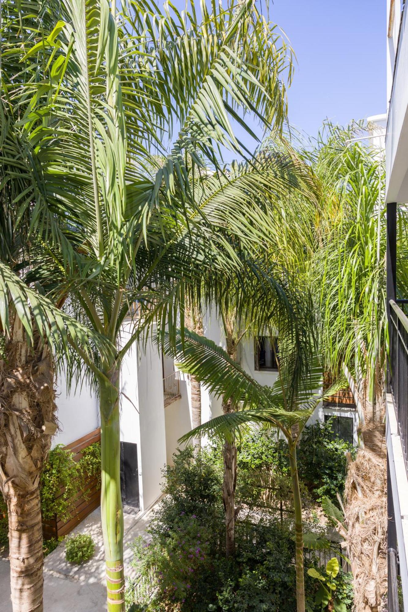 Alecos Hotel Apartments Paphos Exteriér fotografie